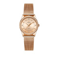 supplier watch Gold stainless steel mesh bracelet waterproof quartz women wristwatch WWOOR 8852